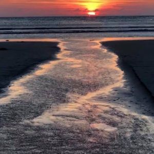 Meet your Posher, Brandi